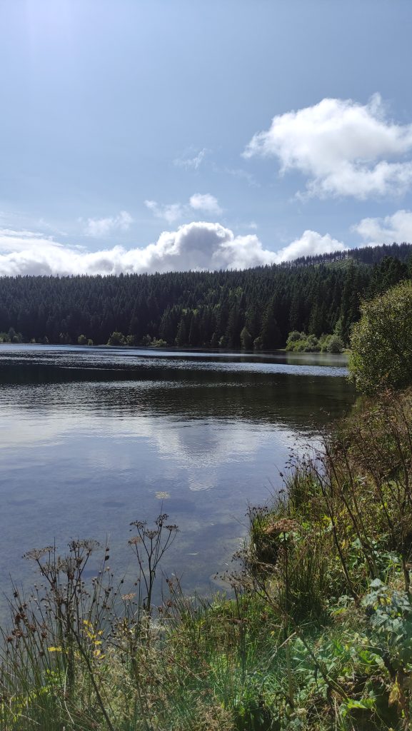 Peche lac serviere
